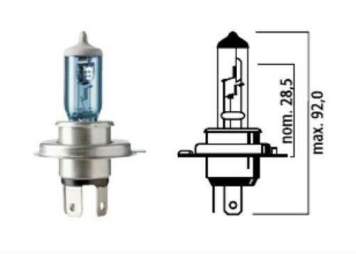 Flosser 9214533 H4 12V 145/100W Super Rally Blue Halogen Head Light Bulb