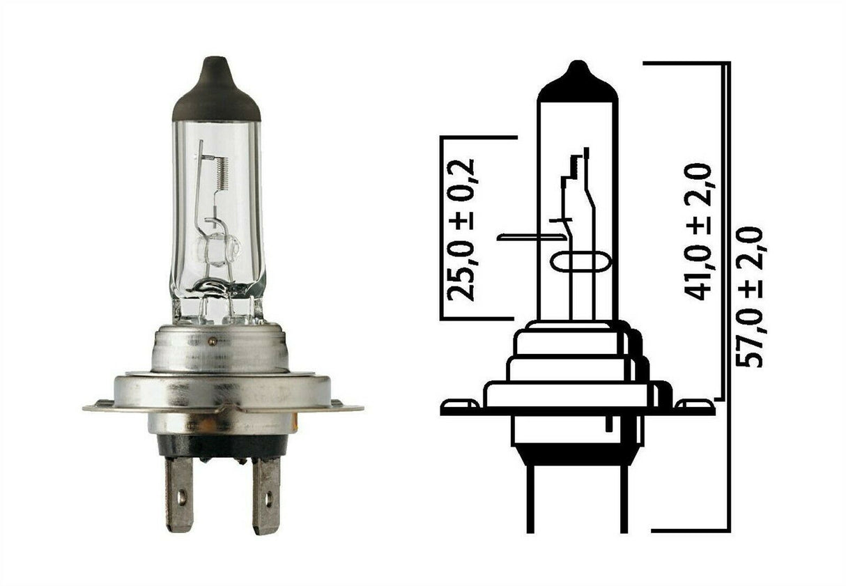 Flosser 12070 80 Watt High Output Rally H7 Halogen Light Bulb
