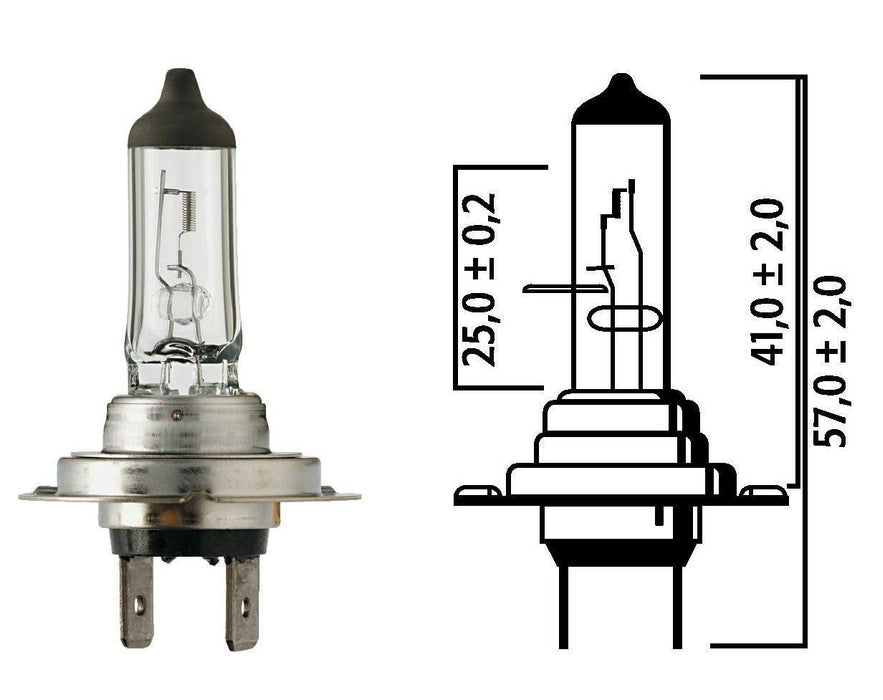 Flosser 207022 H7 12V 55W Long Life Halogen Head Light Bulb — Industrial  Tec Supply