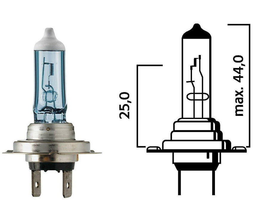 Bulb (H7, 55W/12V)
