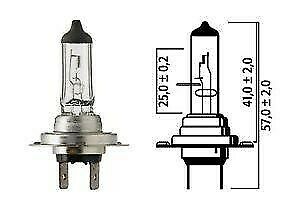 Flosser 12070 80 Watt High Output Rally H7 Halogen Light Bulb