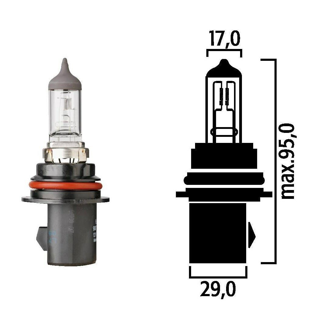 Flosser 9107 100/80 Watt Rally Version of 9007 Halogen Light Bulb Made in Europe