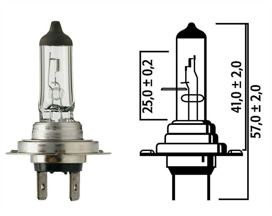 Flosser 2070 H7 12 Volt 55 Watt Halogen Light Bulb